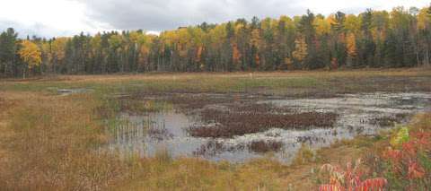 Reilly Bird Nature Reserve